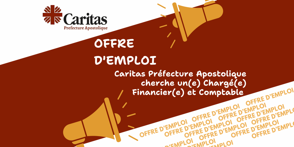 Offre d’emploi chargé(e) financier(ère) et comptable (H/F)